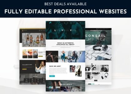 Professional Business Website Design